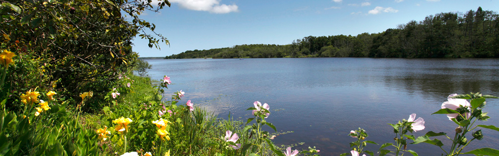 Lac Mimizan